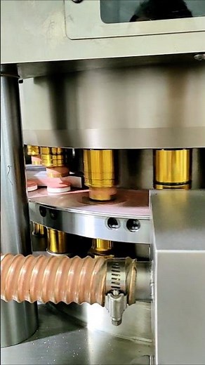 High-Speed Double Layer Tablet Press for Effervescent Cleaning Tablets – 306 PPM, 36mm Diameter