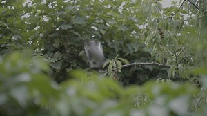 Introducing ✨Learning with Concepts ✨ This innovative new approach to English language learning empowers young learners to make connections, communicate, and take action! Download your free guide to Learning with Concepts -> https://oxelt.gl/463jTM1 | Teaching English with Oxford