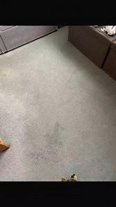 Say Goodbye to Stubborn Stains & Lingering Odors with Merlin's...