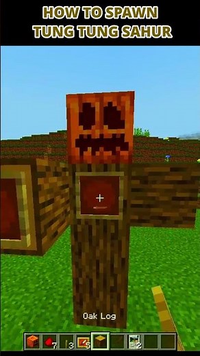 How to Spawn Tung Tung Sahur in Minecraft 🤣