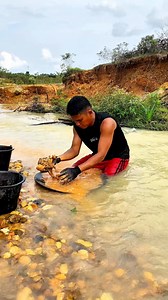 Luar biasa, mencari emas secara manual tanpa menggunakan mesin hasilnya luamayan banyak. Gold prospector. goldrush #quartz #discovery #goldnugget #golddiscovery #goldprospecting #goldhunter #goldmining #goldpanning #goldriver #GoldInvestment #golddust | Edwin Saputra
