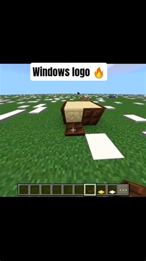 Found the Windows Logo in Minecraft 😳💀