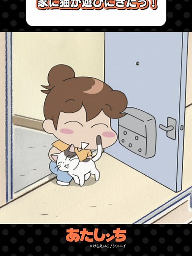 「今日は #ねこの日 🐈 家に猫が遊びにきたっ！！🥺」#あたしンち #アニメ #atashinchi #anime #youtube #...