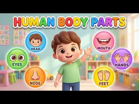 🌟Body Parts for Toddlers🧒| Head to Toe Learning Video for Kids #humanbodypartsname #learnbodyparts