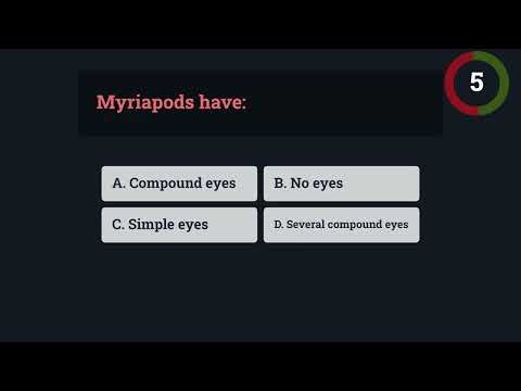 Organism Features and Classification Quiz-8