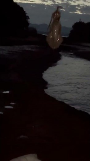 今朝もアタリっぱなし状態のアオリイカヤエン釣り。これは1杯目のもの。もう1杯釣れました。今日なら2時間やれば普通に5杯以上は釣れるペース。南紀地方のアオリイカ釣絶好調！11月14日金曜日。