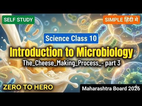 The Cheese Making Process part 3