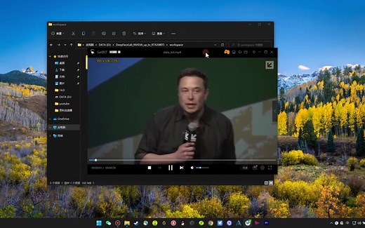 deepfacelab DFL基础流程篇（使用步骤讲解）