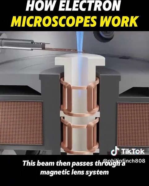 How electron microscopes work #foryou #knowledge #usa #science #microscope