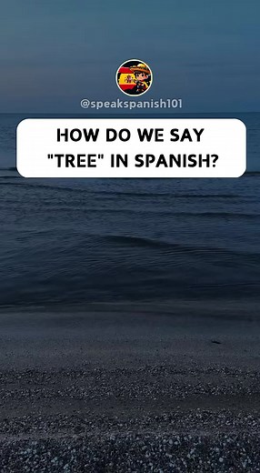 192K views · 4.1K reactions | Spanish for Beginners Follow us #languagelearning #spanishlanguage #spanishteacher #spanishgrammar #spanishforbeginners #spanishvocabulary #spanishlessons #spanish #language | Spanish for Beginners | Facebook