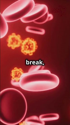 What Happens to Your Body During a 24-Hour Fast? | Benefits of Fasting Explained