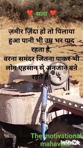 ज़मीर जिंदा ... best powerful motivational status video #shorts #motivational