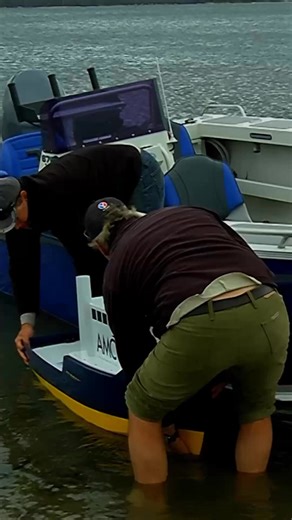 Radio Control Boat fishing…it will be fun they said….what could possibly go wrong? #hlstv #radiocontrol #rcboat #boat fishing #radiocontrolboat #RCToys #cindymaree #fishing | Hook, Line and Sinker - Australian fishing show