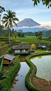 Nuansa pesawahan yang begitu tenang #reels #pedesaan #fyp | Banez Csr