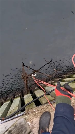 Magnet fishing off the Halifax boardwalk #magnetfishing #halifax