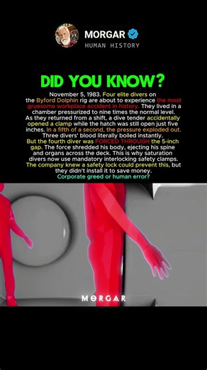 These Elite Divers Vanished in a Split Second #history #facts