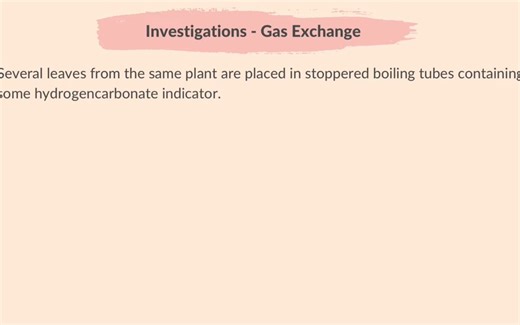 06. Plant Nutrition (Part 3)