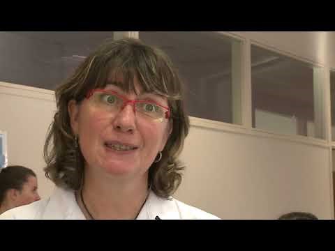 Enseignement optionnel de seconde Sciences et laboratoire