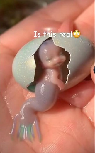 # I cant believe # it’s not real# mermaids getting out of egg