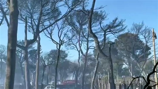 Le camping Le Brasilia dévasté par l’incendie de Canet-en-Roussillon