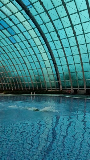 Butterfy được hôm gắn mô tơ vào đít 😄 #swimming #swim #butterfly | Đinh Thuần