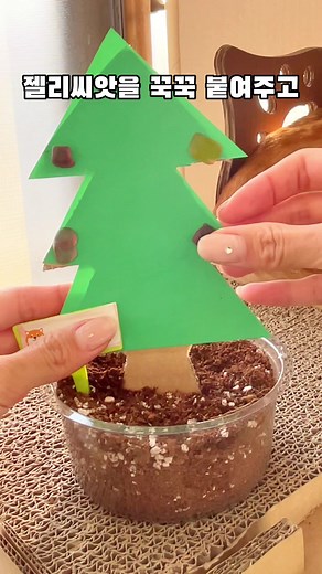 한정판 과일 젤리 키우기!! 다음에는 뭐 키울까요?!
