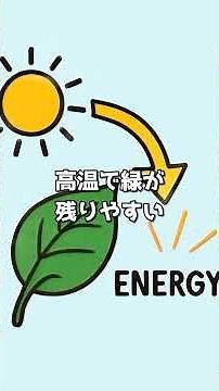 紅葉の正体を60秒で解説！葉の色はなぜ変わる？ #shorts #雑学 #明日から使える