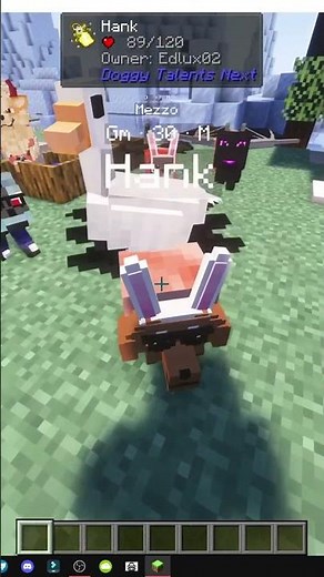 HOW TO PET DOGS in MINECRAFT with Doggy Talents Next