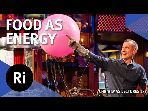 How food makes us - 2024 Christmas Lectures with Chris van Tulleken 2/3