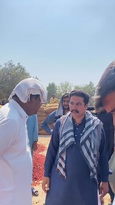 25-10-2025 Rate update 🚨 ھائبرڈ 17,000 سے 20,000 لونگی 21,000 سے 25,800 رچ اسٹار 16,000 سے 19500 Contact for buying Call 03483805185 Whatsapp 03483805185 Delivery all over pakistan 🇵🇰 🚚 | Red Spice Kunri