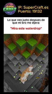 si soy 🤩 #SuperCraft #minecraft #minecraftjava #humor #minecraftmemes #minecraftbedrock | Supercraft Network