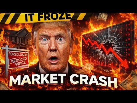 IT FROZE: Housing Market Sales Just Hit ZERO. (Collapse Begins)