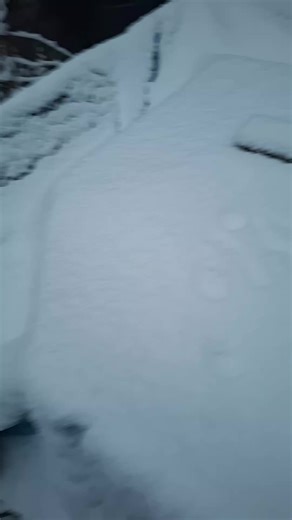 Vidéos de ꧁ꨄ🌸🌼Pluto🌼🌸ꨄ꧂ (@pluto_the.essa) avec original sound - Song lyrics 🫦