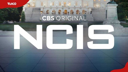 NCIS cast members' salary and net worth as of 2024: who is the richest?