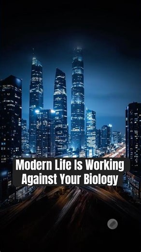Modern Life Is Fighting Your Biology (Here’s How to Fix It)