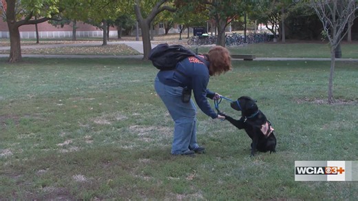 Illini Service Dogs celebrating 15 years of four-legged help