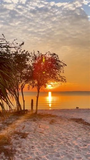 Sky painted in gold, water catching every color 🌅✨ Watching the sunset over St. Andrews Bay is one of those simple joys that stays with you. Panama City knows how to end a day right. #LovePC #DestinationPanamaCity | Destination Panama City