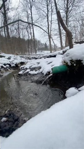 This is the spring!!!