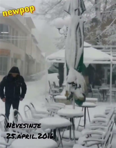 Snijeg pade na behar na voće Nevesinje 25.4.2016.
