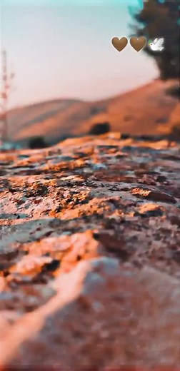 Stunning Outdoor Landscape Scenes in Nature