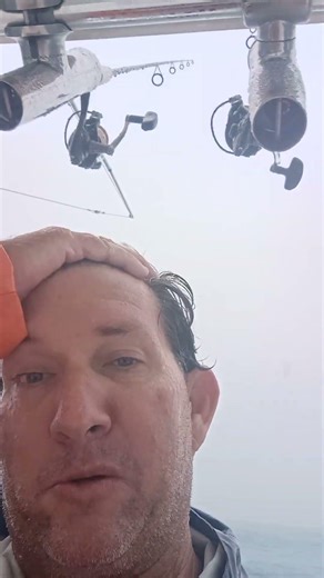 catching live Ballyhoo in the rain.#fishing #freshbait #ballyhoo