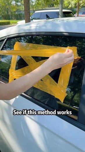 16K views · 183 reactions | Kitten Is Very Hot in the Car!” — Tips by...