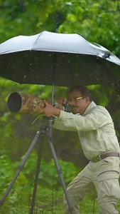 140K views · 73K reactions | Dad’s delivery service: fresh dragonfly on demand. #nature #photography #wildlife #reel | Drpandaasianheart | Facebook