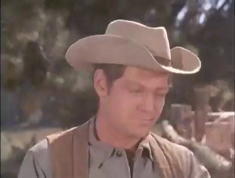Bonanza - (S09E12) "Check Rein"