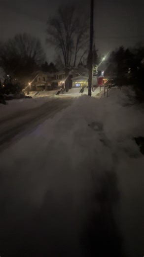 #walkwithme #pittsburgh #snowstorm2026