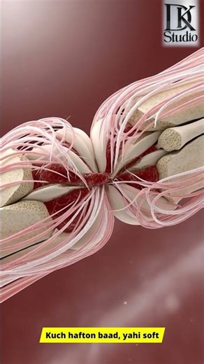 How Does Bone Healing REALLY Work ? #shortvideo #shorts