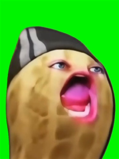 The iconic Burnt Peanut character passionately belts out a pop anthem in this hilarious crash out green screen cutout, credited to @peanutunfiltered and @theburntpeanut. Packed with unhinged singing energy, chaotic karaoke vibes, and peak drama, this dramatic peanut reaction is perfect for relatable breakdowns, late-night brain thoughts, and funny karaoke memes. Use this CapCut template to overlay the singing peanut into your own custom scenes, express your inner dramatic mood, or feature it in 