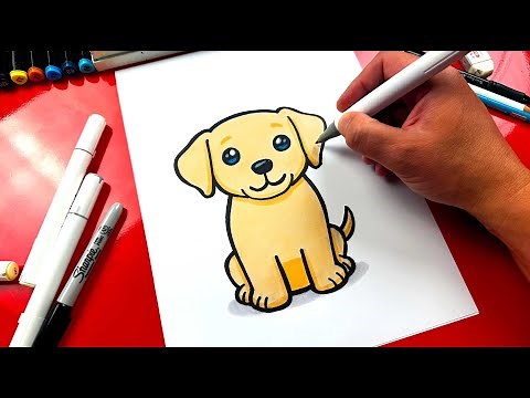 How To Draw A Labrador Puppy