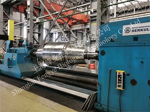 [Hot Item] Backup Roll for Reversing Reduction and Tandem Mill