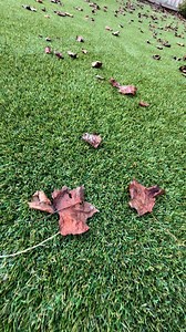 Happy Friday and I hope you all have a great weekend! #weekendvibes #theshabbytree | The Shabby Tree